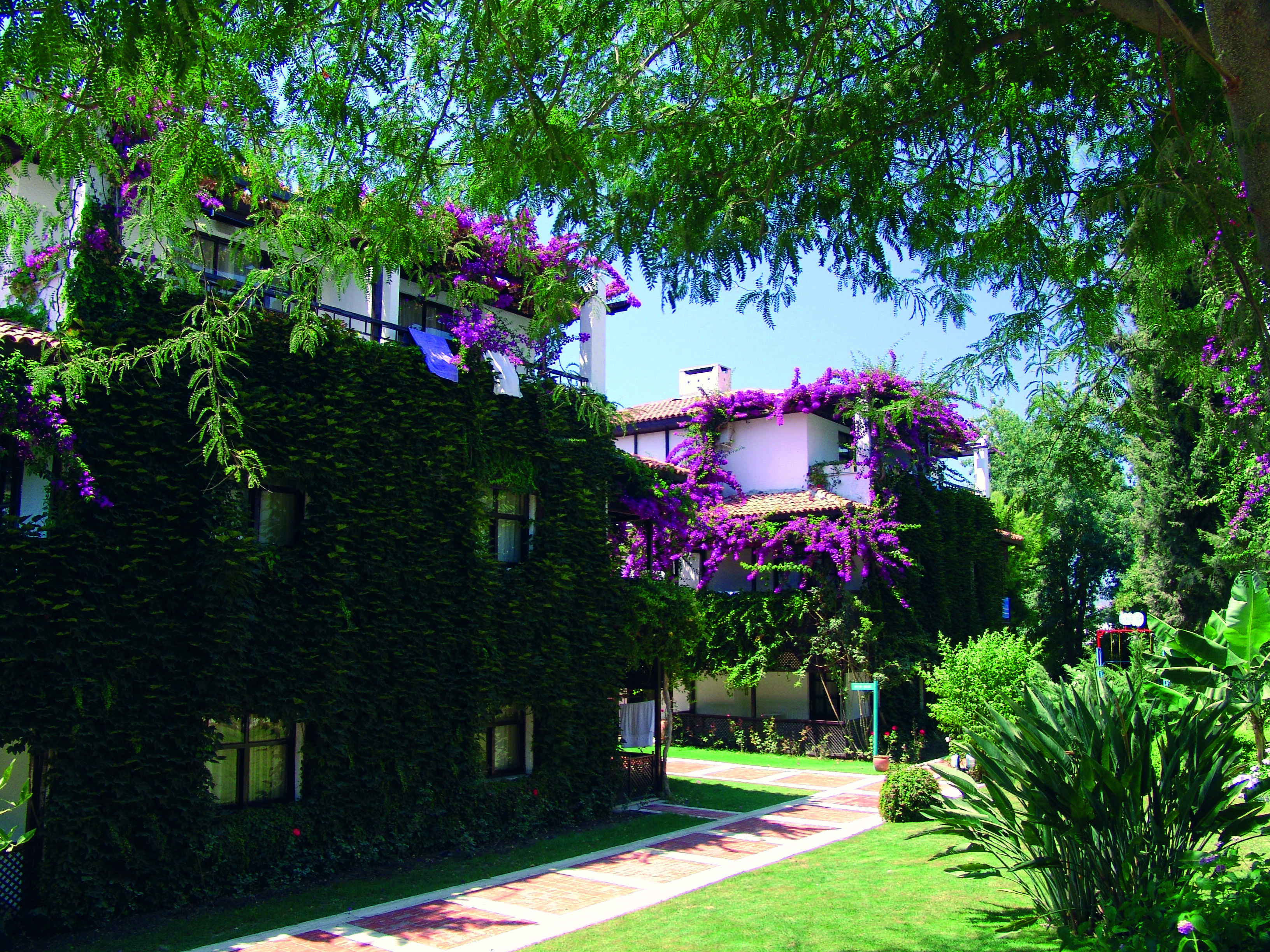 Titan Club Hotel Ultra All Inclusive Kargicak  Kültér fotó