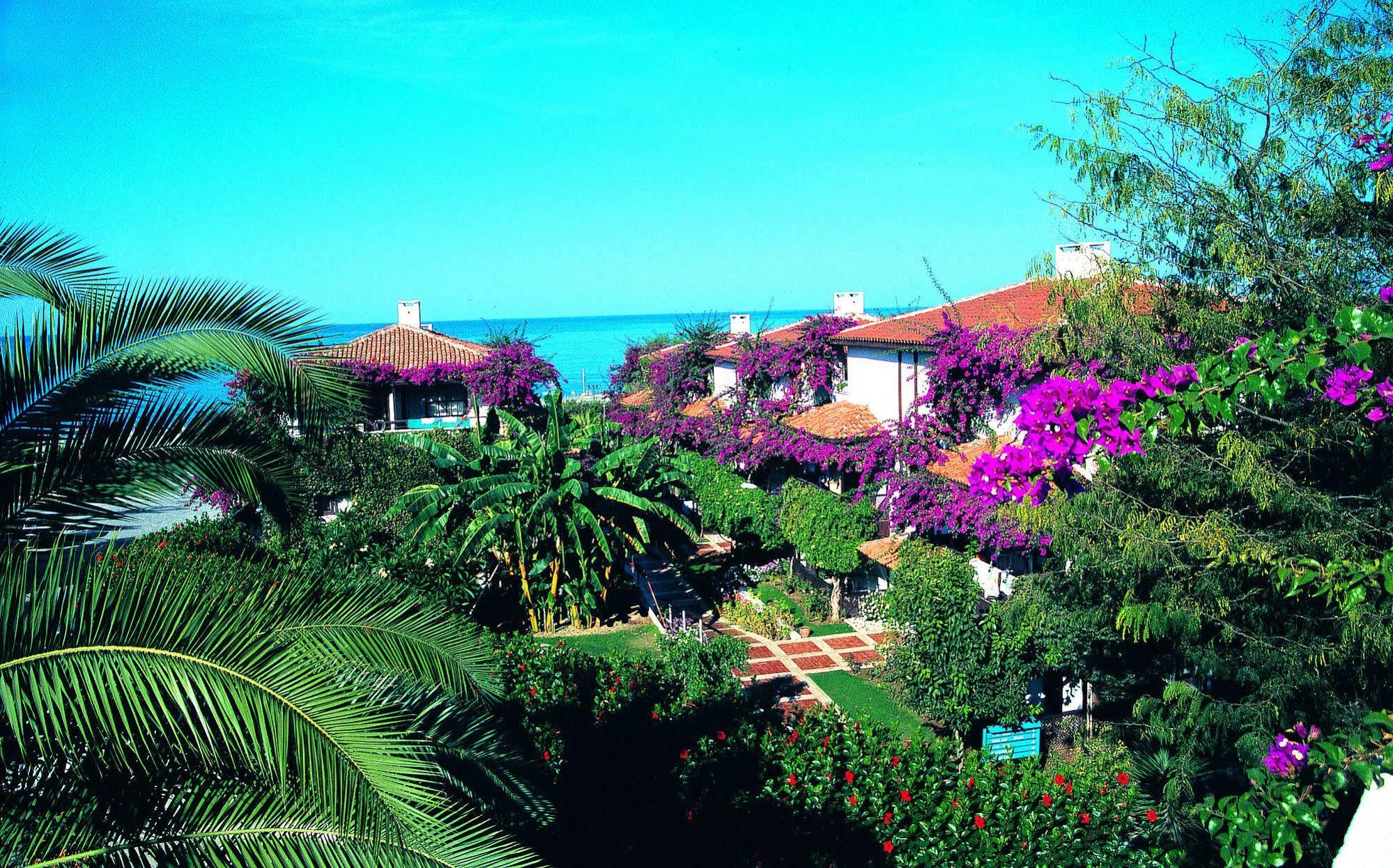 Titan Club Hotel Ultra All Inclusive Kargicak  Kültér fotó